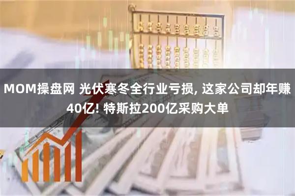 MOM操盘网 光伏寒冬全行业亏损, 这家公司却年赚40亿! 特斯拉200亿采购大单